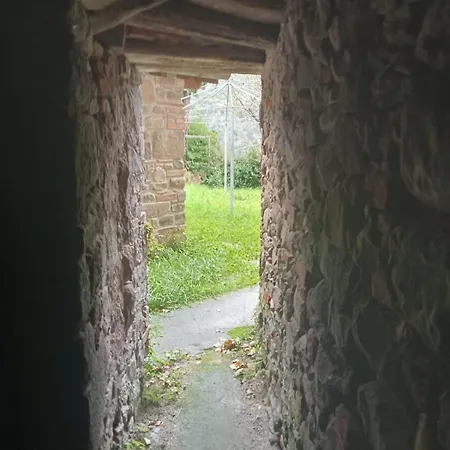 別荘 Corte Pippi Da Anna E Mario Villa Basilica